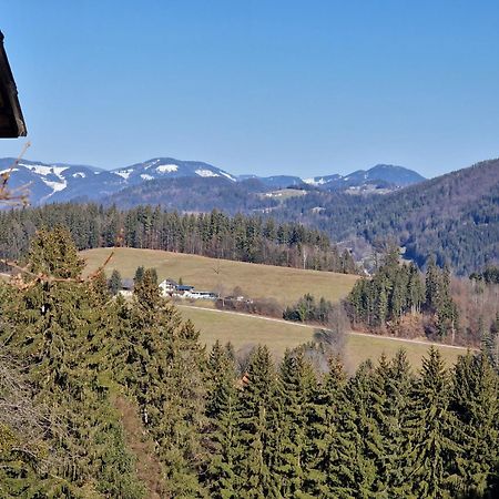 Natur- & Erlebnis Ferienhaus Фойтсберг Экстерьер фото